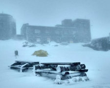 В Карпатах выпал снег. Местные жители выкладывают фото и видео майской «зимы»