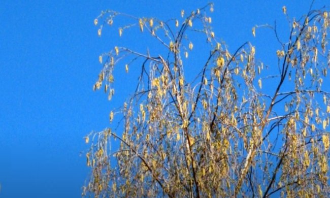 Погода на 24 апреля 2020 года