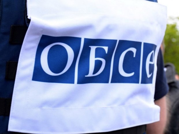 В Украине начала работать миссия ОБСЕ по наблюдению за выборами