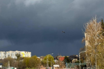 Град та ураганний вітер: негода наробила лиха у багатьох областях