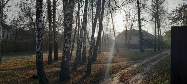 Усього від +1: синоптики терміново уточнили прогноз погоди на суботу.