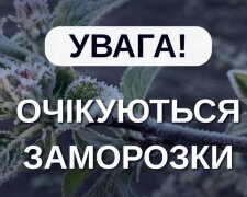 Вдарять заморозки, вдень дощ і холод: прогноз Укргідрометцентру на 29 квітня