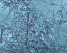 Зима в Украине. Фото: скриншот Youtube