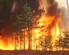 Лісова пожежа. Фото: скріншот YouTube-відео