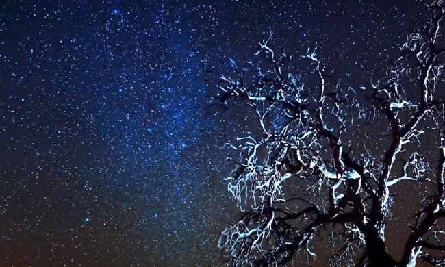 Зоряне небо. Фото: YouTube, скрін