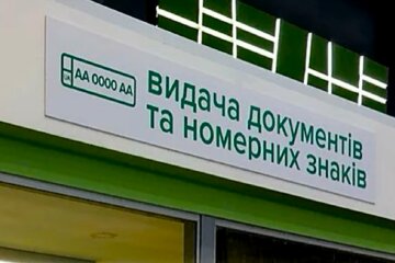 Регистрация авто и выдача прав. Фото: YouTube