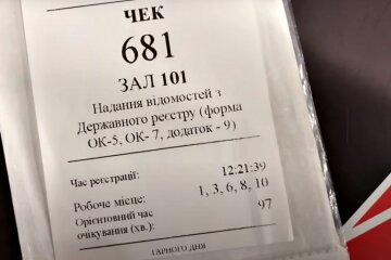 Отримання довідки. Фото: скріншот YouTube-відео.