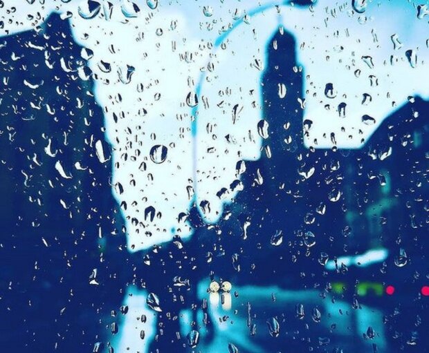 Дожди. Фото: скриншот Instagram
