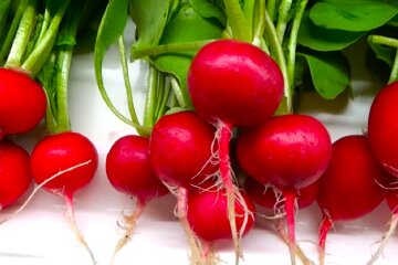 Редиска. Фото: YouTube