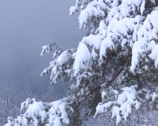 Снег. Фото: скриншот YouTube-видео
