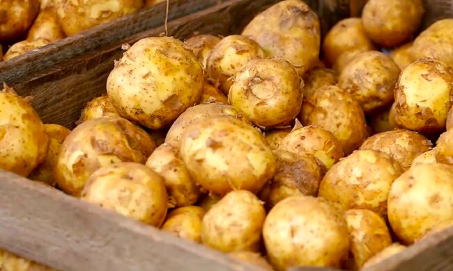 Картопля. Фото: YouTube