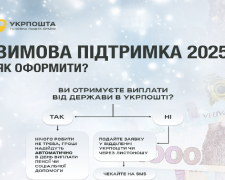 Зимняя поддержка: как получить деньги на Укрпочте, детальная инструкция - покажите родителям