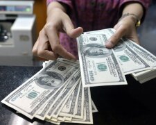 Курс валют в Україні, долар, Мінфін, НБУ. Фото: Telegram