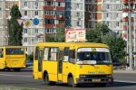 "Зато нам Виталя велики закупил": киевские маршрутки превзошли сами себя и разозлили соцсети