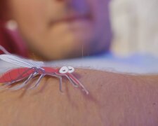 НАТОвські комарі. Фото: YouTube