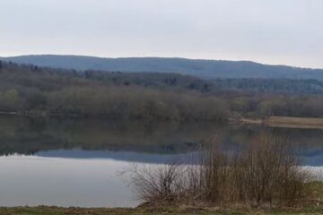 Природа навесні. Фото: скріншот YouTube-відео