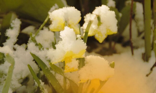 Від -1 до +13: синоптики попередили про погоду на завтра, до чого готуватись