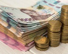 Гроші, богри, українці. Фото: Telegram