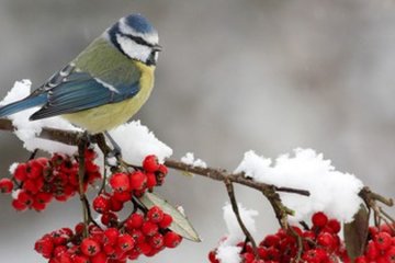 В Украину придет оттепель. Фото из открытых источников