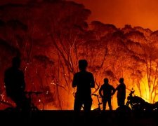 Лесные пожары в Австралии. Фото: Getty Images\ B.Hammings