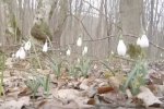 Погода в Украине. Фото: скриншот Youtube