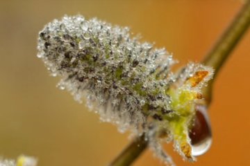 Погода на 3 февраля 2020 года