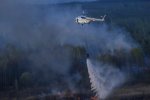 Пожар в Зоне отчуждения. Фото: rbc.ua