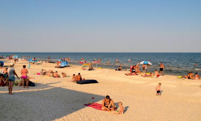 Пляжников на Азовском море загрызают морские блохи, люди мучаются. Фото