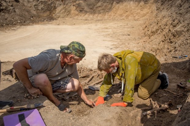 Археологи обнаружили кость крупнейшего существа в истории: достигал 30 метров в высоту