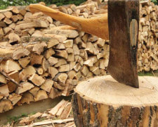 Райцентр в Житомирской области будут отапливать дровами