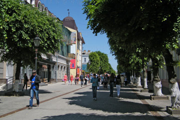 Пора вывозить детей: В Луцке содержание аммиака в воздухе превышает норму в 22 раза