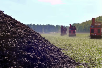 Где в Украине дороже всего продается земля. Фото: YouTube