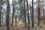 Погода на 28 ноября 2020 года