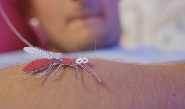 НАТОвские комары. Фото: YouTube