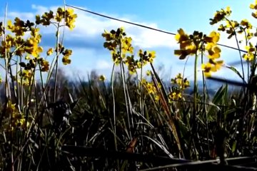 Погода на 19 апреля 2020 года