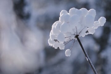 Погода в Украине. Фото: YouTube, скрин