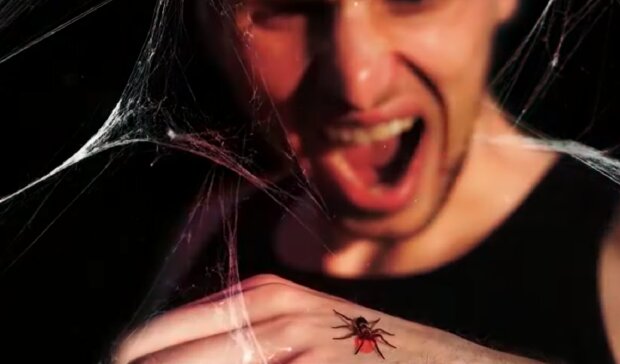 Павук. Фото: YouTube