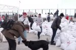 Оборона в Одессе. Фото: скриншот YouTube-видео