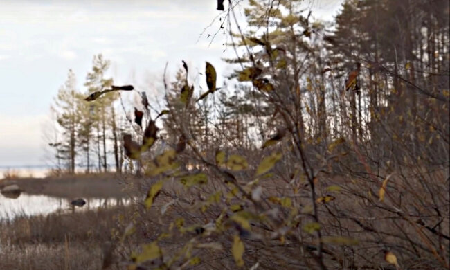 Погода в Україні. Фото: скріншот YouTube-відео.