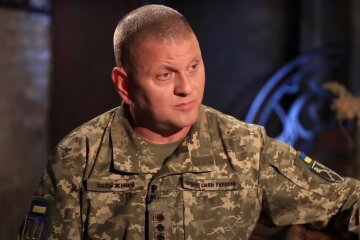 Валерий Залужный. Фото: YouTube, скрин