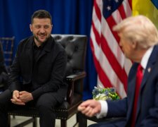 Стало известно, о чем договорились Зеленский и Трамп - территории, переговоры и выборы