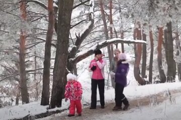 Прогулка зимой. Фото: скриншот YouTube-видео