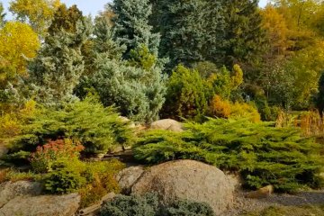 Ботанический сад Харькова. Фото: скриншот YouTube