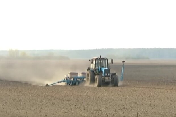 Обработка сельхоз земли. Фото: скриншот Youtube
