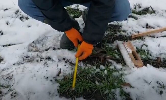 В українців почнуть примусово забирати землю - подробиці. Фото: скрін YouTube