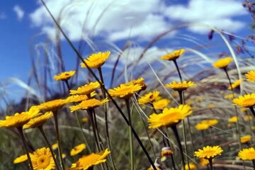 Наталка Диденко предупредила о погоде в воскресенье, 1 июня. Фото: YouTube