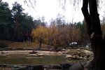 Синоптики спрогнозировали погоду в ноябре. Фото: скриншот Youtube-видео