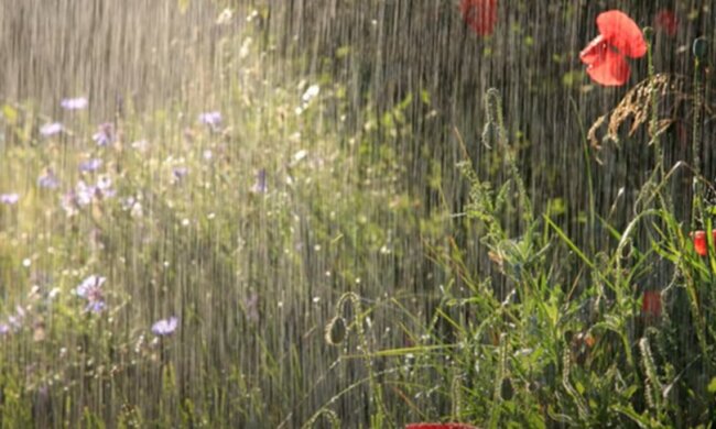 Погода в Украине. Фото: скриншот YouTube