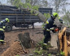 Диденко предупредила о холоде и штормовом ветре: 27 апреля заставит достать шапки — где будет самая плохая погода