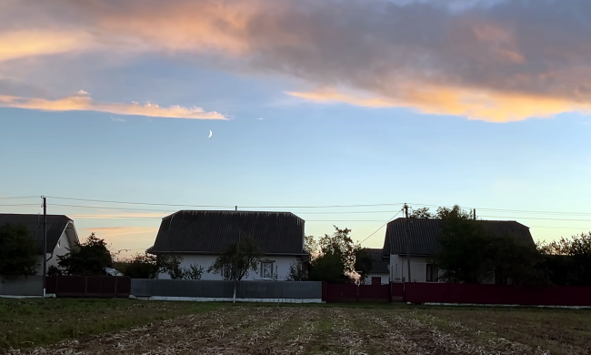 Украинцев предупредили о приватизации огородов. Фото: YouTube